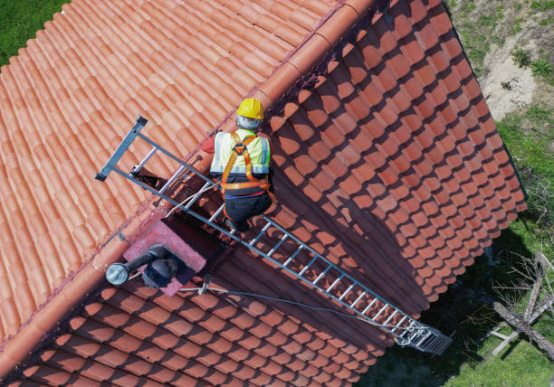 Best Roof Moss and Algae Removal  in Sublimity, OR